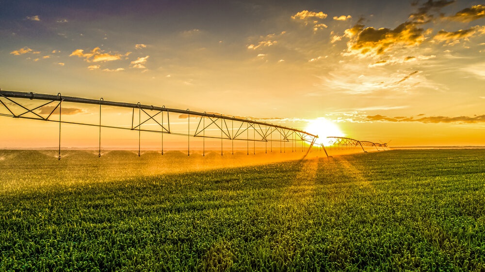 The Role of Sustainable Irrigation