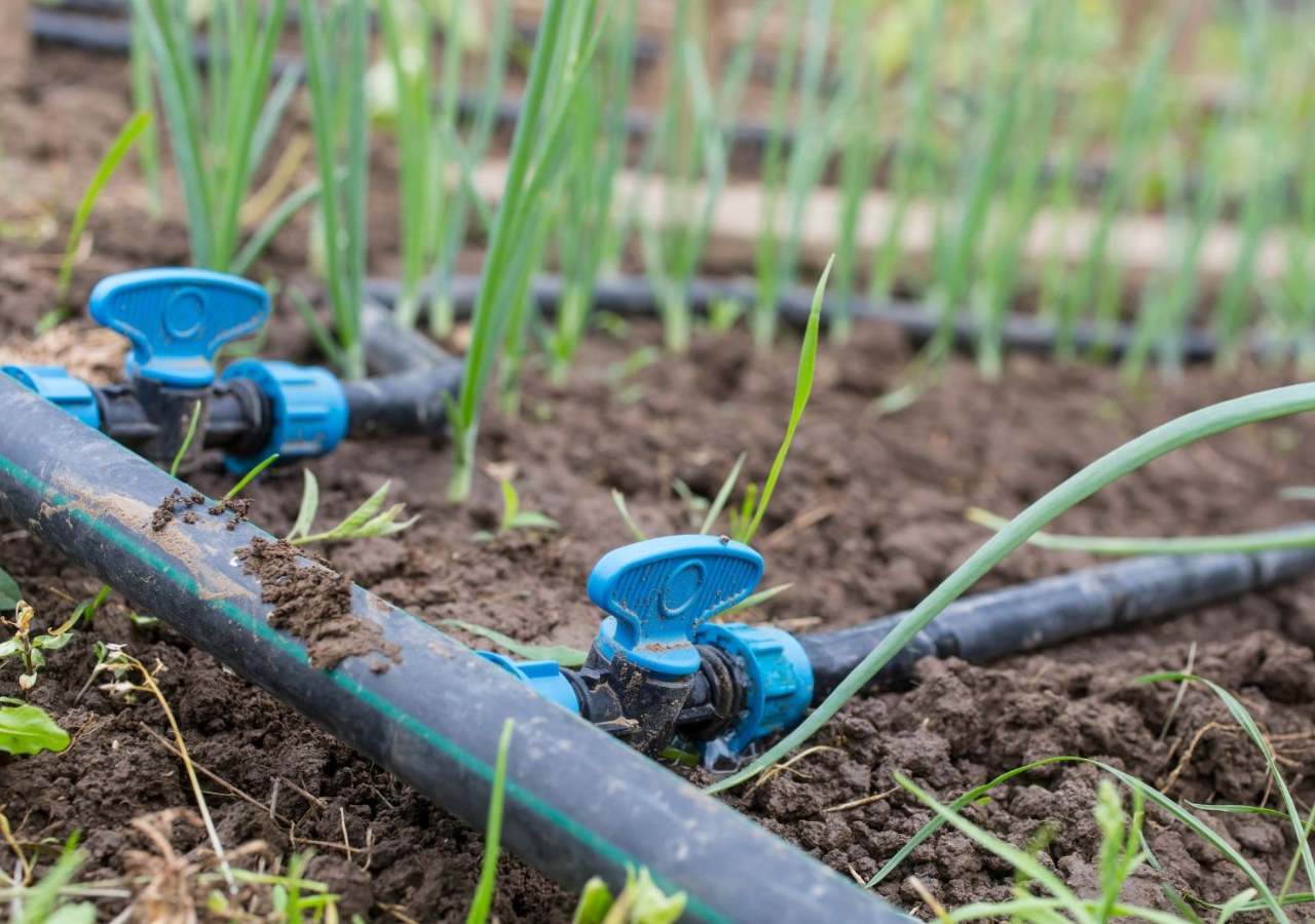 Drip Irrigation Melbourne