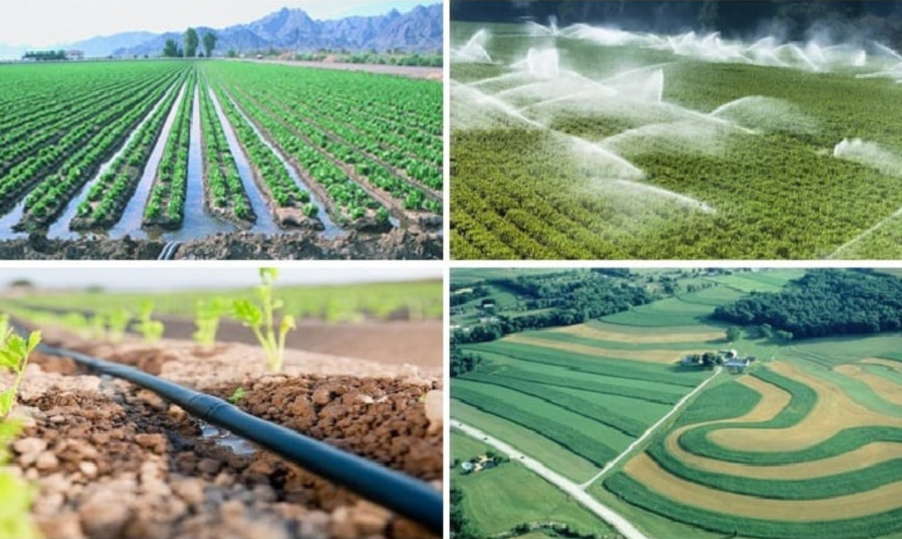 Irrigation Systems in Melbourne